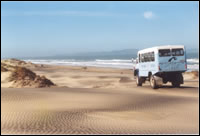 beach bus