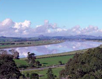 dargaville museum